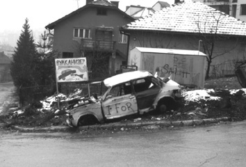 in Gribawiza